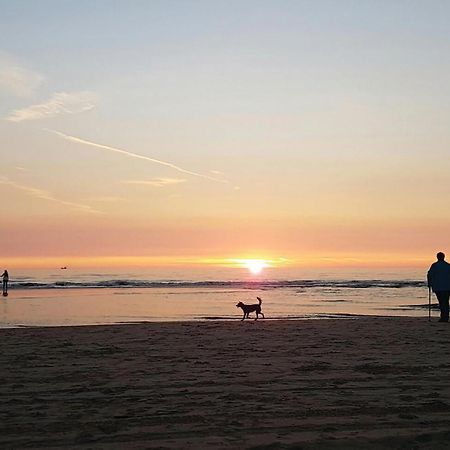 2 Bedroom Pet Friendly Home In Egmond Aan Zee Ngoại thất bức ảnh