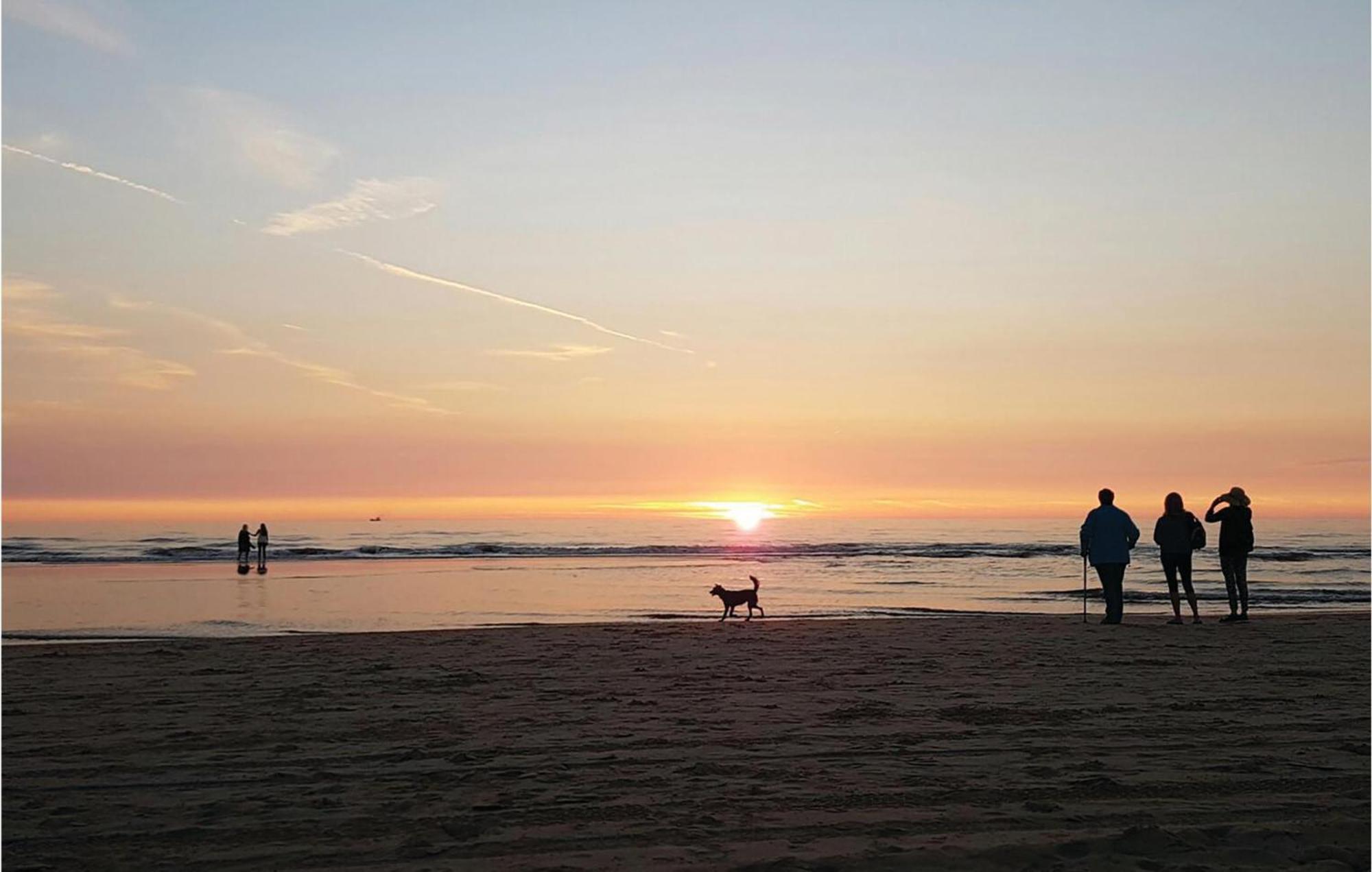 2 Bedroom Pet Friendly Home In Egmond Aan Zee Ngoại thất bức ảnh